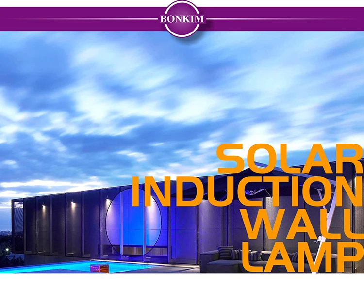 Solar Microwave Induction Wall Lamp_01