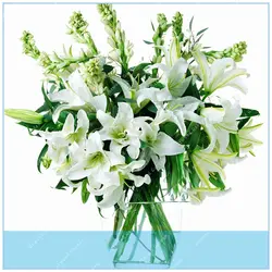 ZLKING 100 шт. элегантные и красивые лилии завод бонсай растение цветок для дома и сада