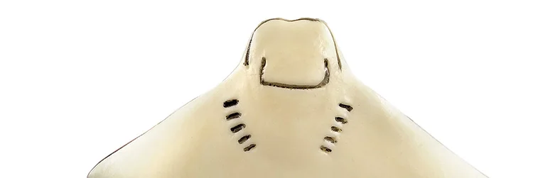 -4---DW-M-LP490-607-608-828_12