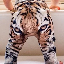 Года Новые брючки для девочек и мальчиков на осень-зиму с изображением тигра в 3D с принтом шаровары и панталоны для мальчиков и девочек штанишки для детей