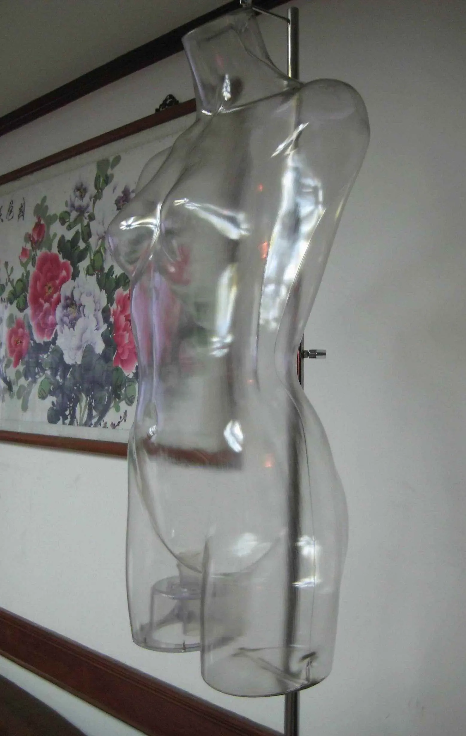 transparent clear vifrification hyaline lucency Female Torso Form