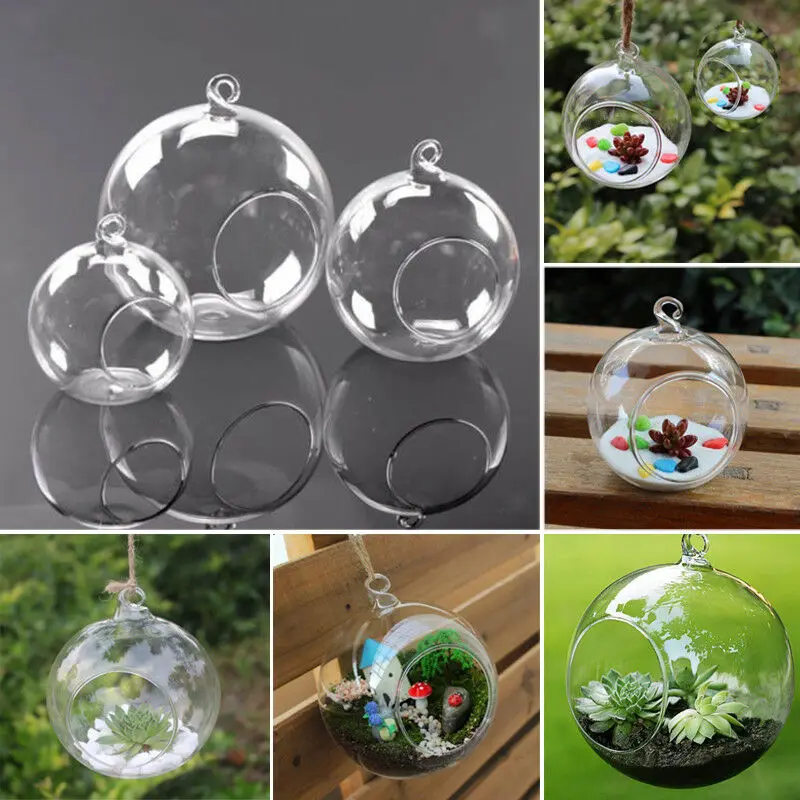 

Ball Globe Shape Clear Hanging Glass Vase Flower Plants Container Ornament Micro Landscape DIY Wedding Home Decor