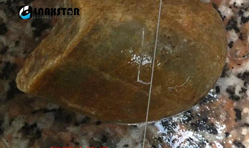 HTB1gH75SFXXXXbUXXXXq6xXFXXXU