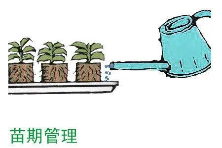 T2mtMtXJRXXXXXXXXX-174386223