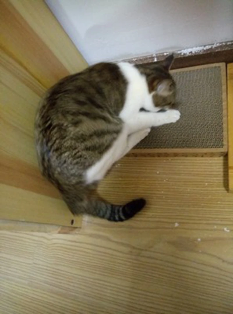 Cat Scratcher Board For Cats Claw Grinding Wood Sisal Pet Products Cat Pad Corrugated Scratching Post For Cat Scratchers (1)
