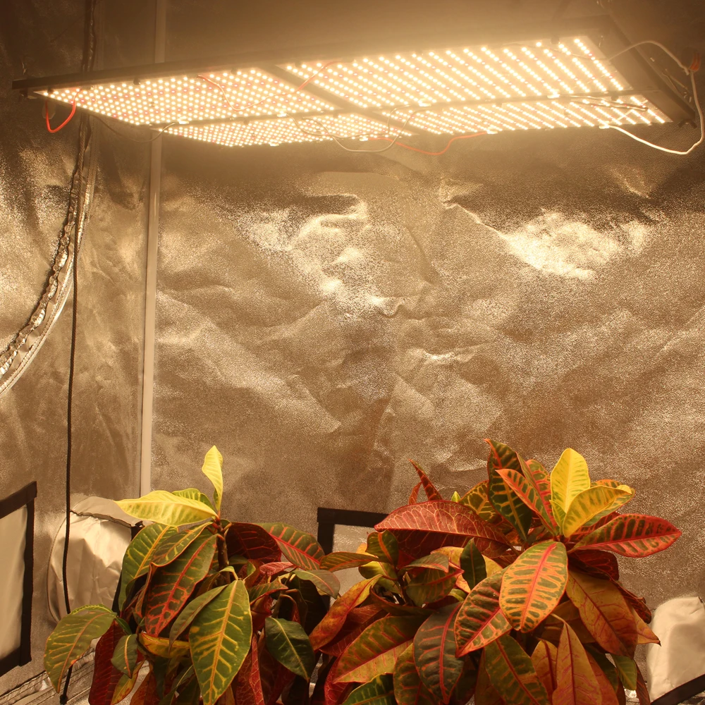 Figolite grow Quantum Board led grow light 4xQB288 LM301B 500W HLG-480H-48B