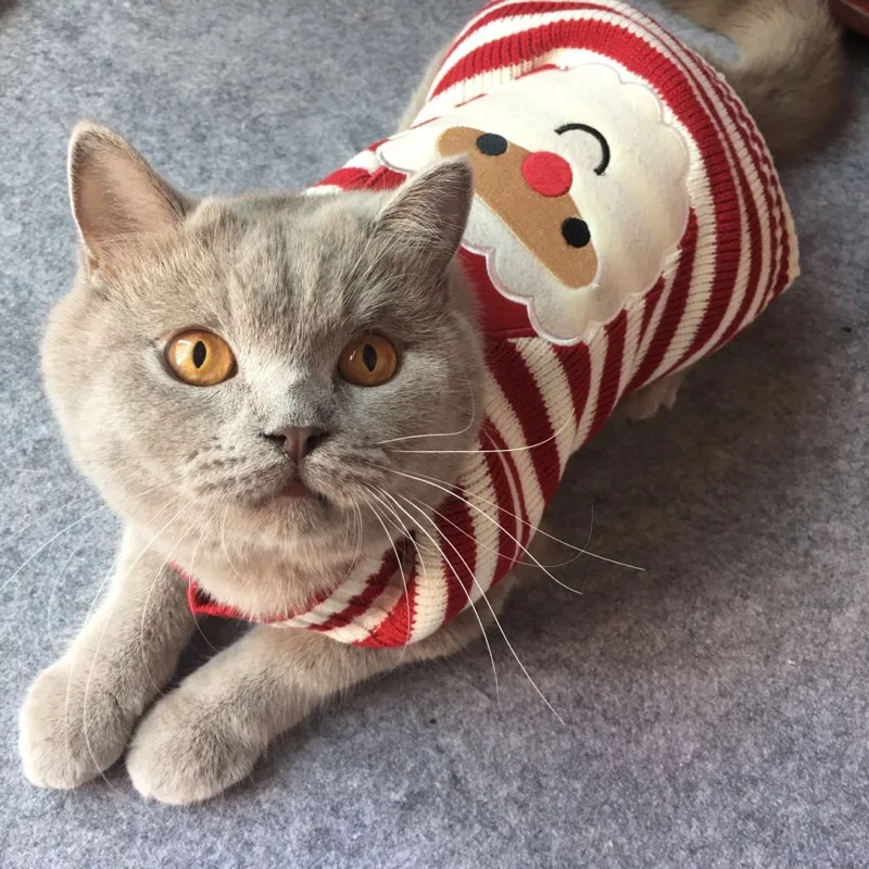 8 Color Christmas Pet Cat Sweater For Cats Halloween Clothes For Small Dogs Cats Kedi Kitten Pullover Santa Clothing Outfits XXS 8 Color Christmas Pet Cat Sweater For Cats Halloween Clothes For Small Dogs Cats Kedi Kitten Pullover Santa Clothing Outfits XXS