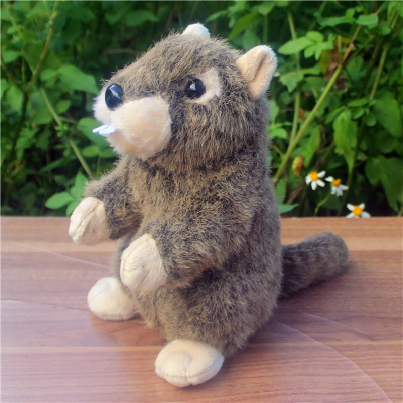 kawaii simulation animal groundhog plush doll mini soft quality groundhogs toy for baby gift 20cm DY50189 (3)