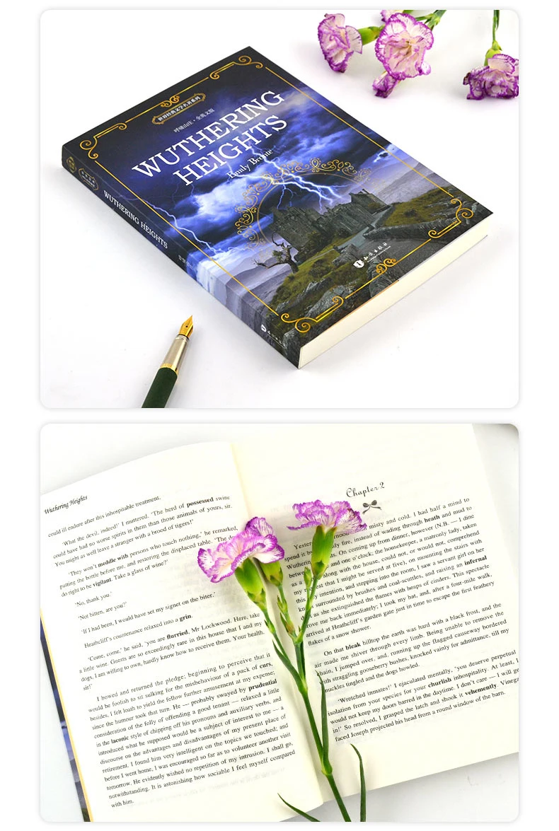 HTB1Z.20MkzoK1RjSZFlq6yi4VXaS