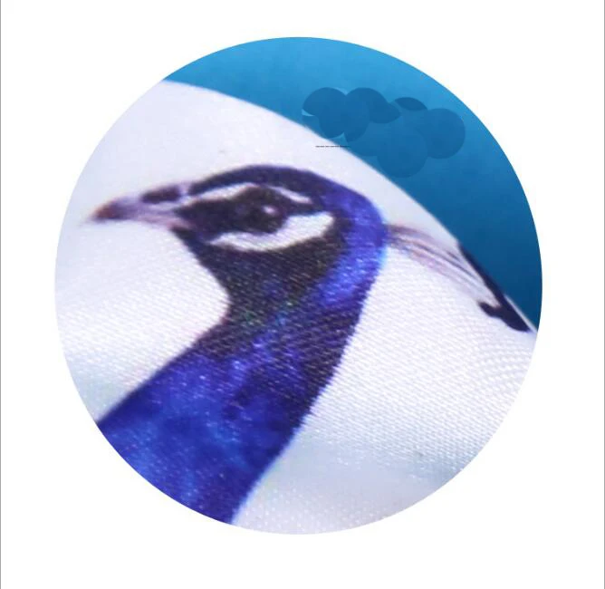 QQ20171031094447