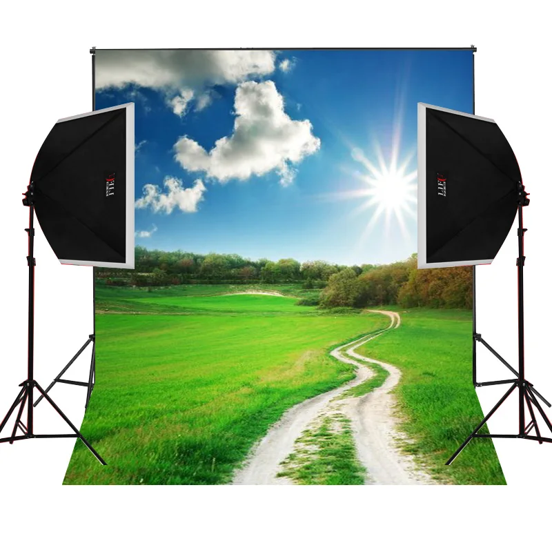 Grassland кантри роуд сценический для фотографий камера fotografica студия Виниловый фон