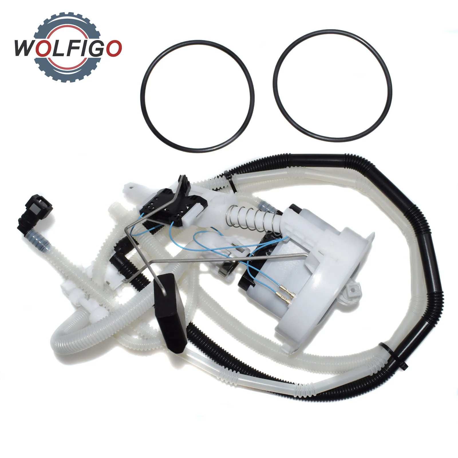 WOLFIGO Fuel Filter with Fuel Level Sending Unit & Pressure Regulator