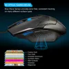 Mouse & Keyboards