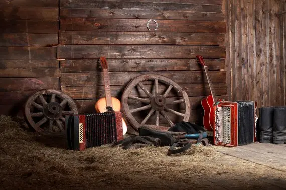 

Barn Wood Wooden Wheel House Hay Floor Guitar accordion photo backdrop Computer print wall background