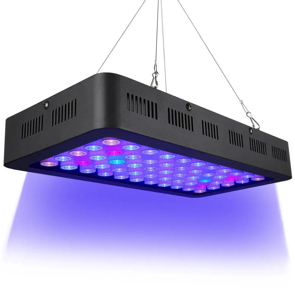 55x3W Dim Aqu (1)
