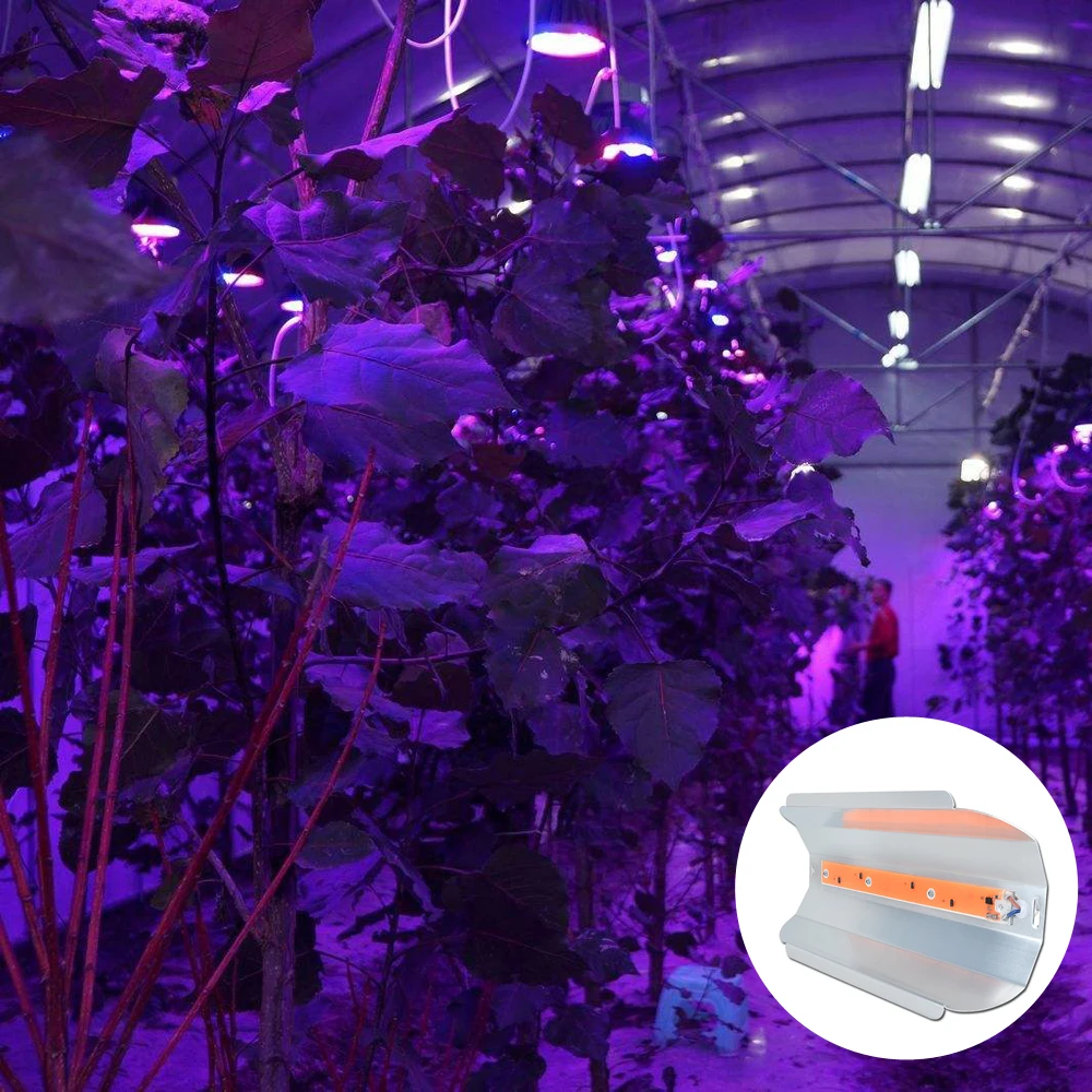 30 Вт 50 Вт 80 Вт светодиодный Grow Light Phytolamp полный спектр IP67 Водонепроницаемый 110 V 220 V высокий прожектор со светодиодным модулем Fitolampy для