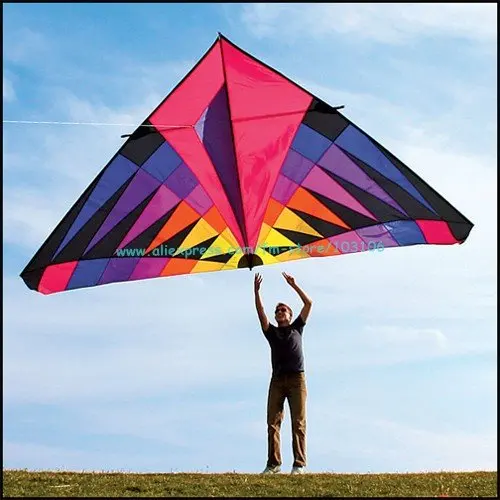 2011 Hot! larger 5M delta kite big size easy to flyin Kites