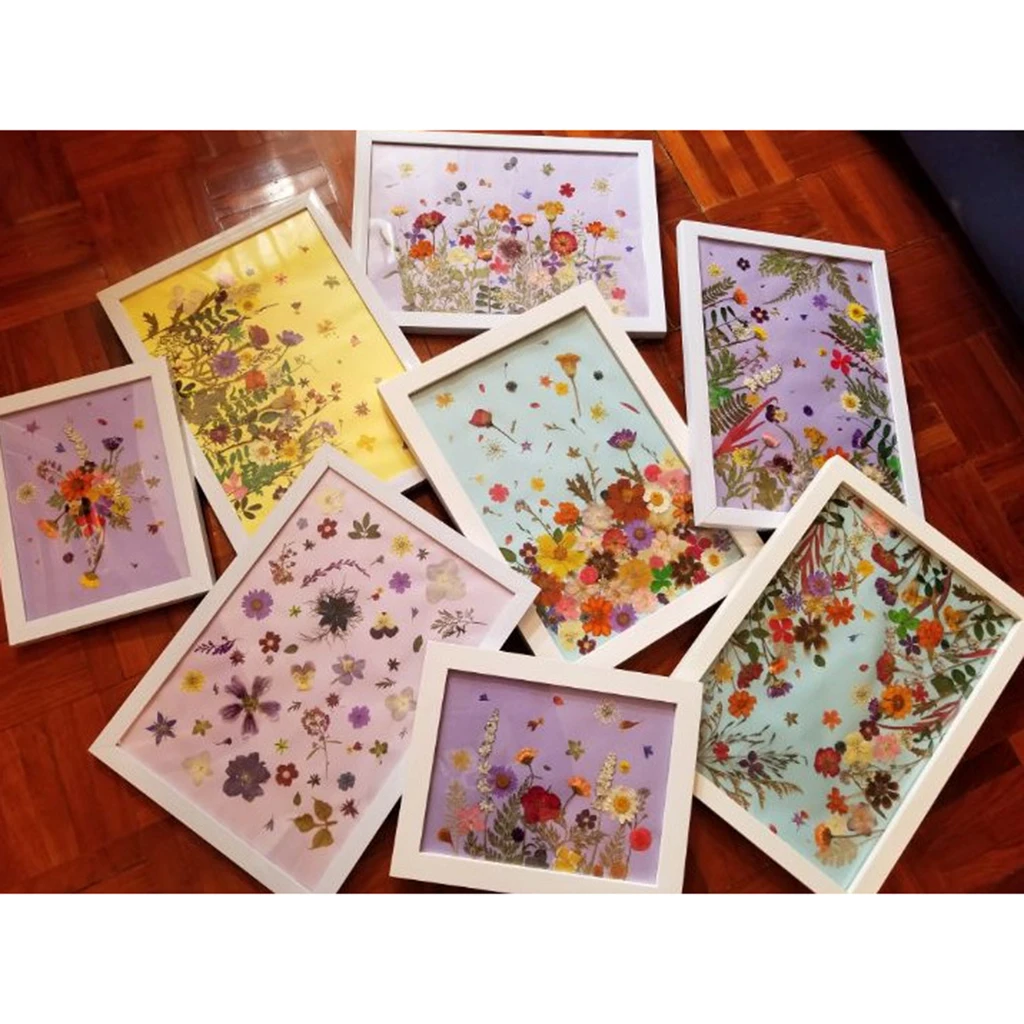 26pcs Natural Pressed Flowers Orange and Purple for Handmade Crafts Gifts Decor Charms Pendants Bracelet Making Ornaments
