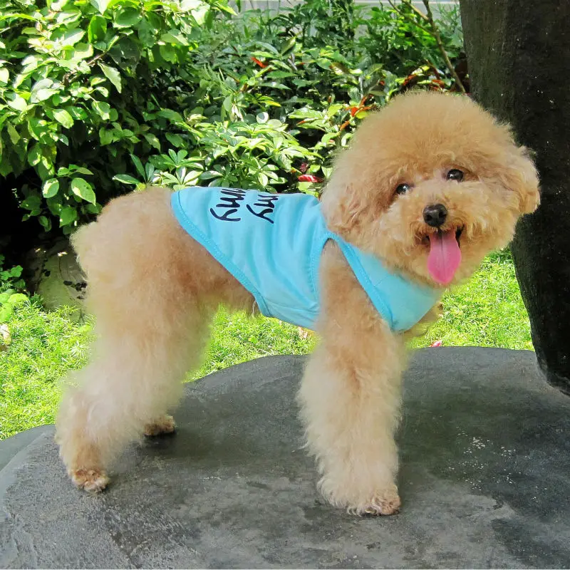 Y40_Sweety_Summer_Pet_Dog_Mesh_Vest_Puppy_baby_dog_Cats_Parenting_Breathable_shirt_Clothing_Love_Mommy_Daddy_Dog_Vest_ (7)