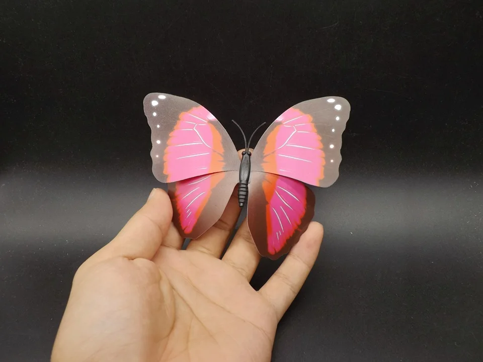 I235-Butterfly (1)