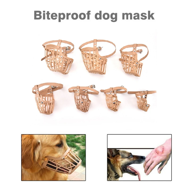 HTB1RwTVlRjTBKNjSZFuq6z0HFXaF