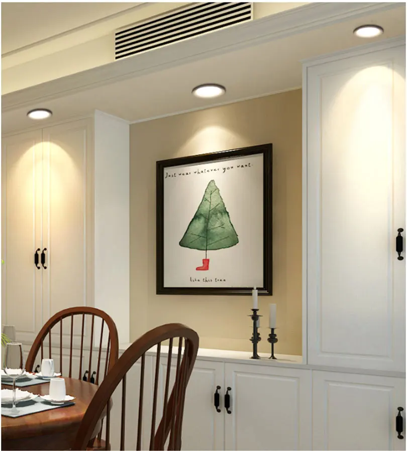 LED downlight (13)