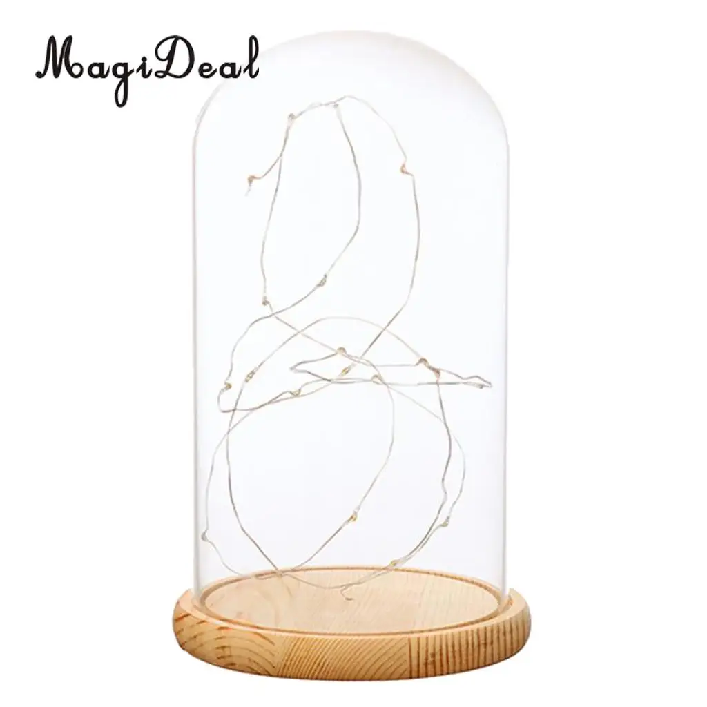 Glass Display Dome Cloche With Suspended LED Lights Tabletop Lamp Wedding Holiday Decor Crafts