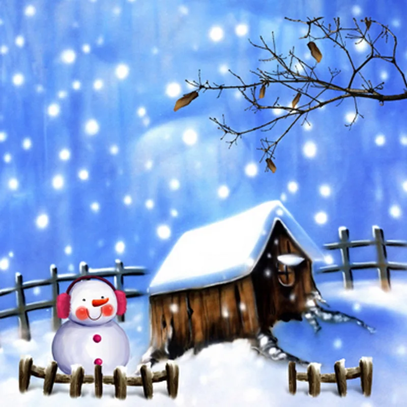 

10X10ft free shipping Thin vinyl Photography Studio Senior Vinyl Background Digital print Christmas Backdrops ST-057