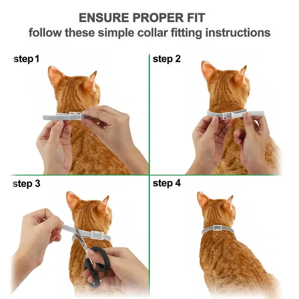 Dewel Cat Collar Anti Tick Dogs Small Flea Collar Mosquitoes Waterproof Pets Accessories for Cat 8 Months Protection Dewel Cat Collar Anti Tick Dogs Small Flea Collar Mosquitoes Waterproof Pets Accessories for Cat 8 Months Protection