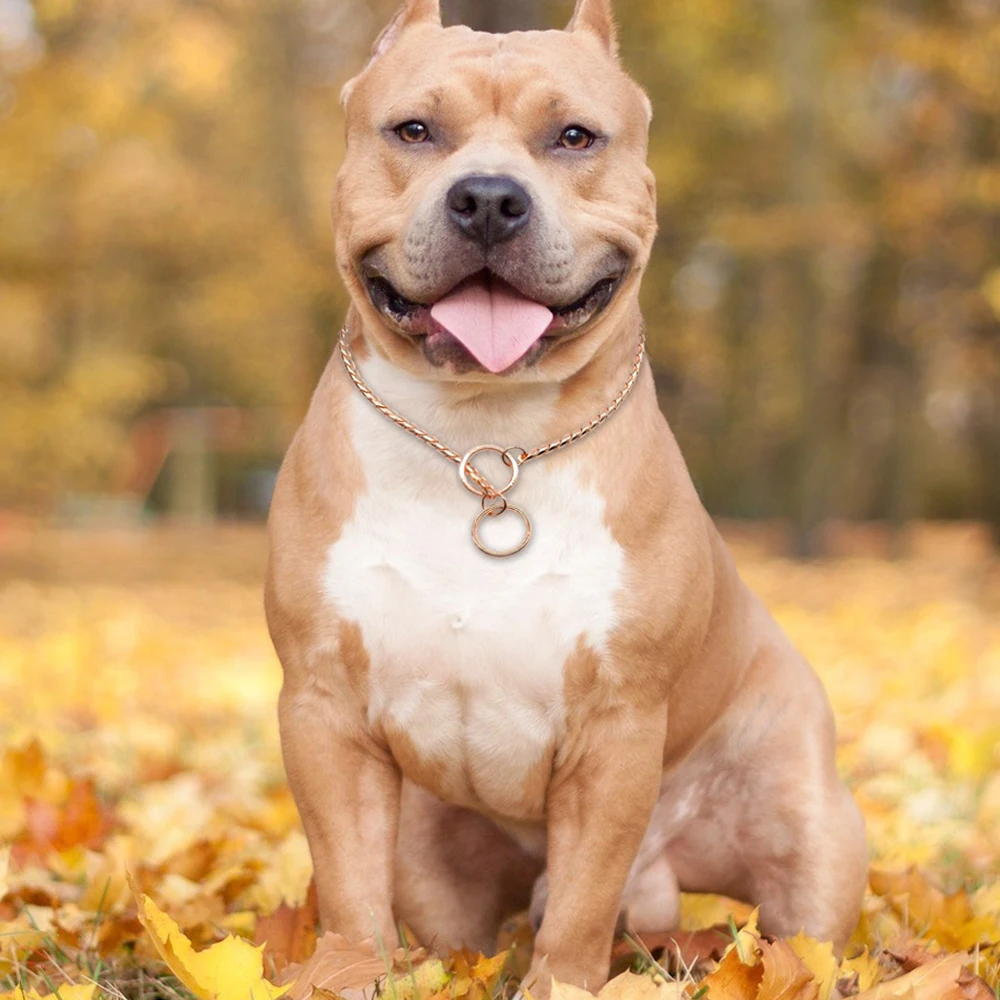 Ошейник для дрессировки собак Pitbull мопс Ckoker Ошейники со змеиным рисунком товары