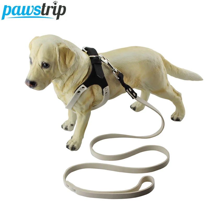 

pawstrip 4 Colors Glasses Dog Harness Vest Soft Suede Leather Dog Leash Harness Set Chihuahua Small Puppy Harness Lead