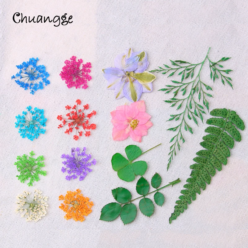 

CHUANGGE Natural Decorative Pressed Dried Flower for DIY Candle Making Supplies Wax Tablet Decor Material Handmade Necessary