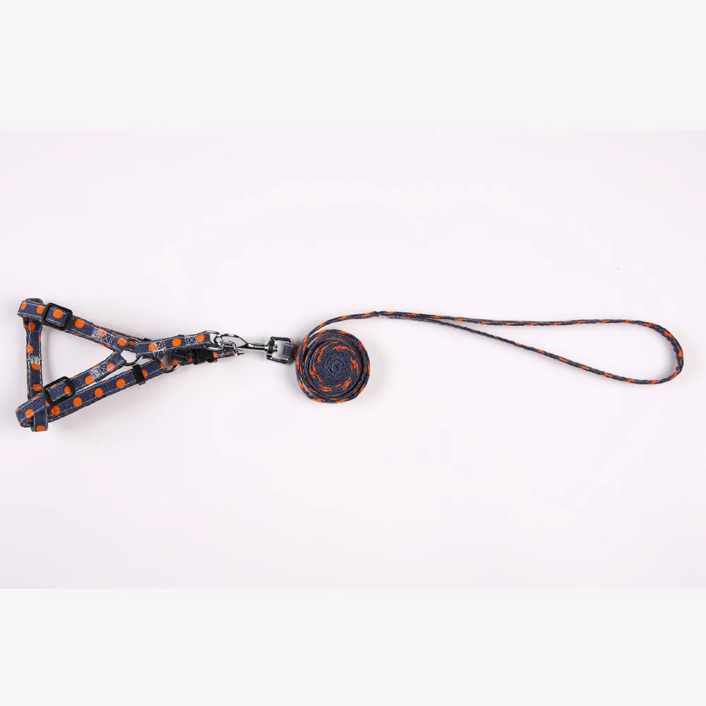 SKU-1 dog leash and harness set