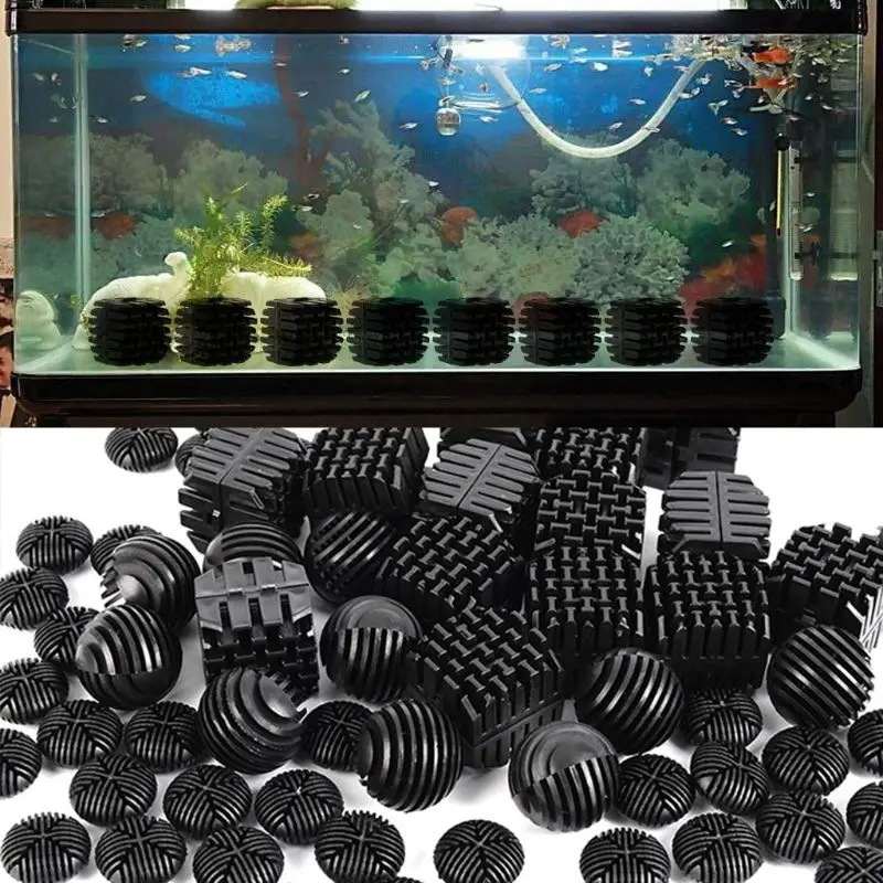 biological filtration freshwater aquarium