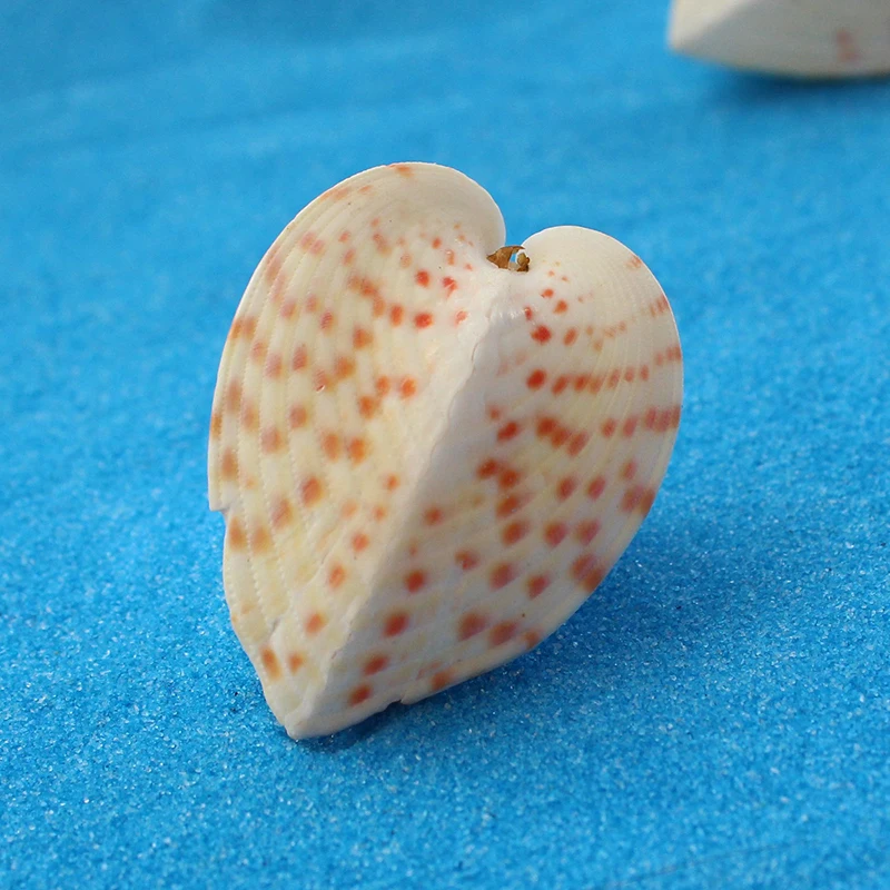 

Aqumotic Heart-shaped Clams about 3cm Love Shellfish Tourism Seashells Small Specimens Aquarium Decor 1pc Almost for Nothing