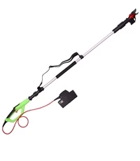 WSP-1.1C