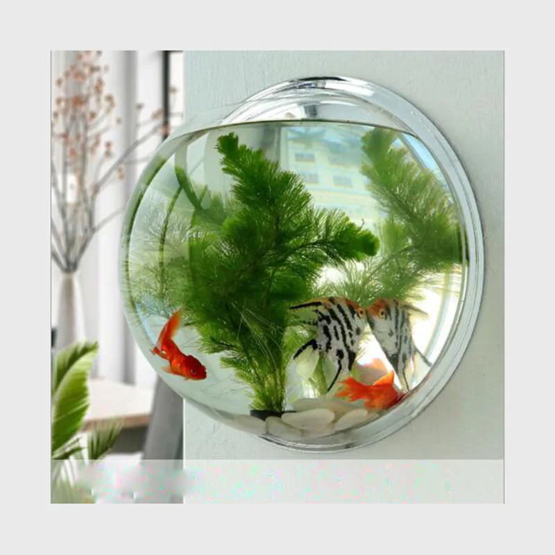 Wall-Mounted Acrylic Fish Bowl Aquarium for Aquatic Pets - Perfect for Aquaculture Supplies and Cup Products image 4