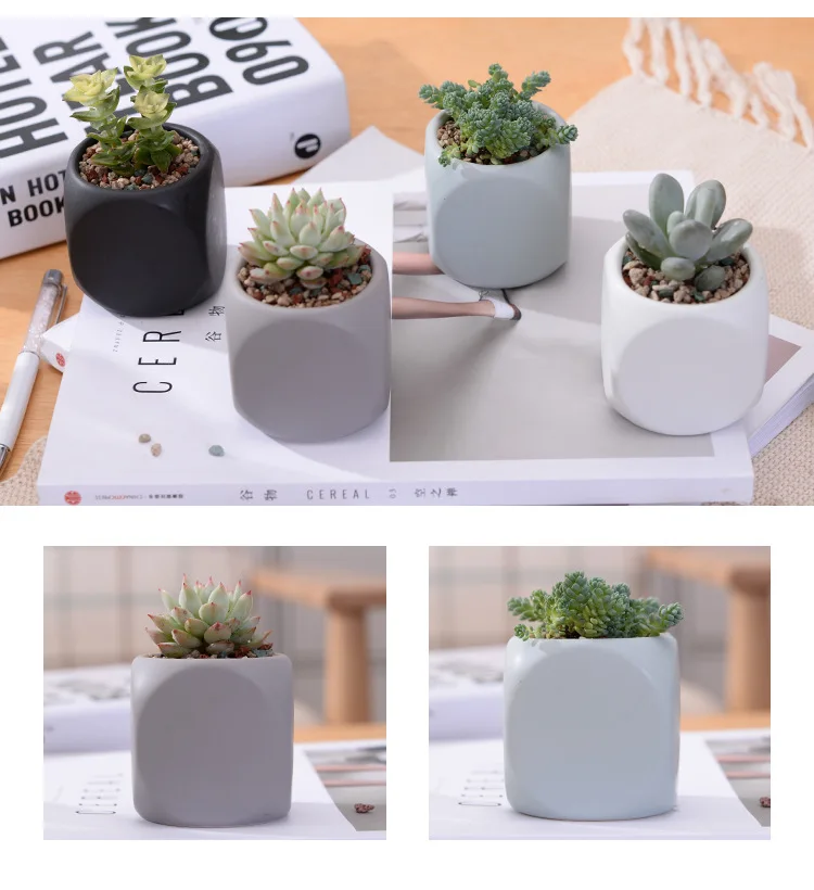 4062645241_675057837