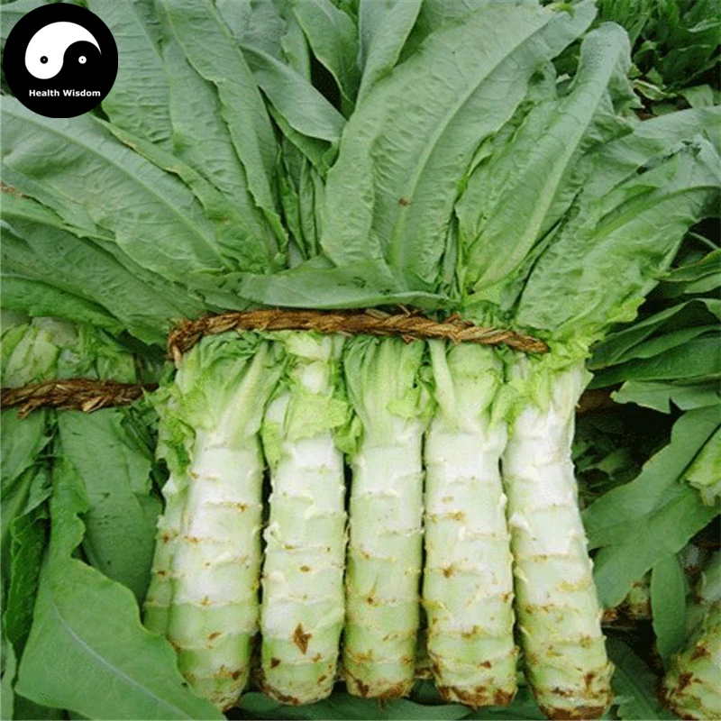Buy Lettuce Vegetable Semente 400pcs Plant Chinese Lactuca Sativa Wo Ju