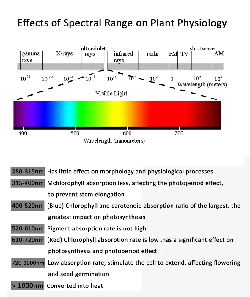 LED Plant Grow Lights  23