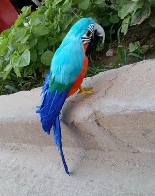 30 Cm Berwarna Biru Bulu Burung Model Burung Beo Yang Indah