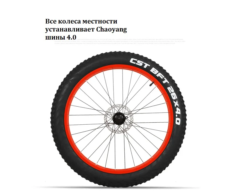 electric snow bike (3)
