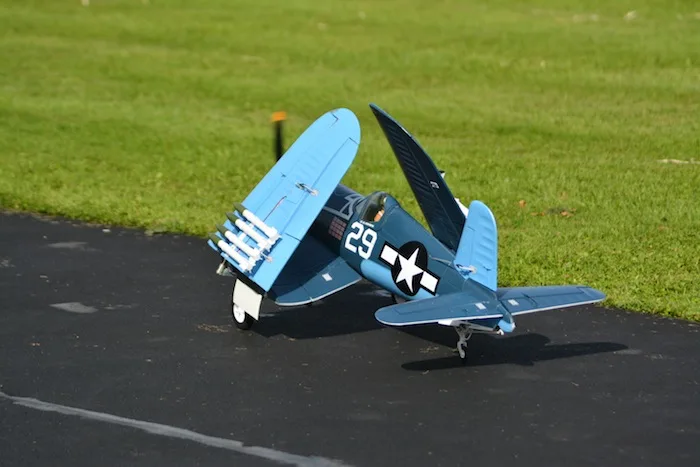 DSC_3446