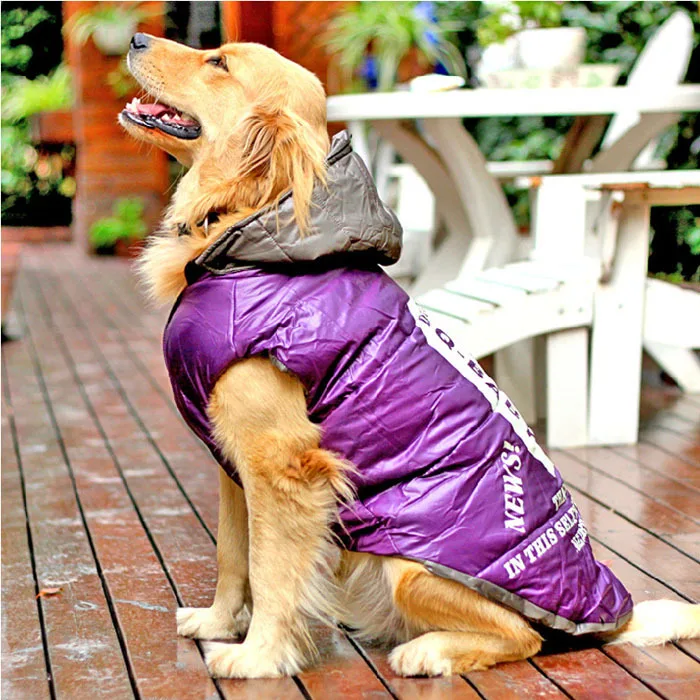 Одежда для больших собак с французским бульдогом, зимняя куртка, водонепроницаемая утепленная, теплая, Питбуль, Хаски, боксер, Питбуль, средняя, большая, куртка с капюшоном для собак - Цвет: Purple