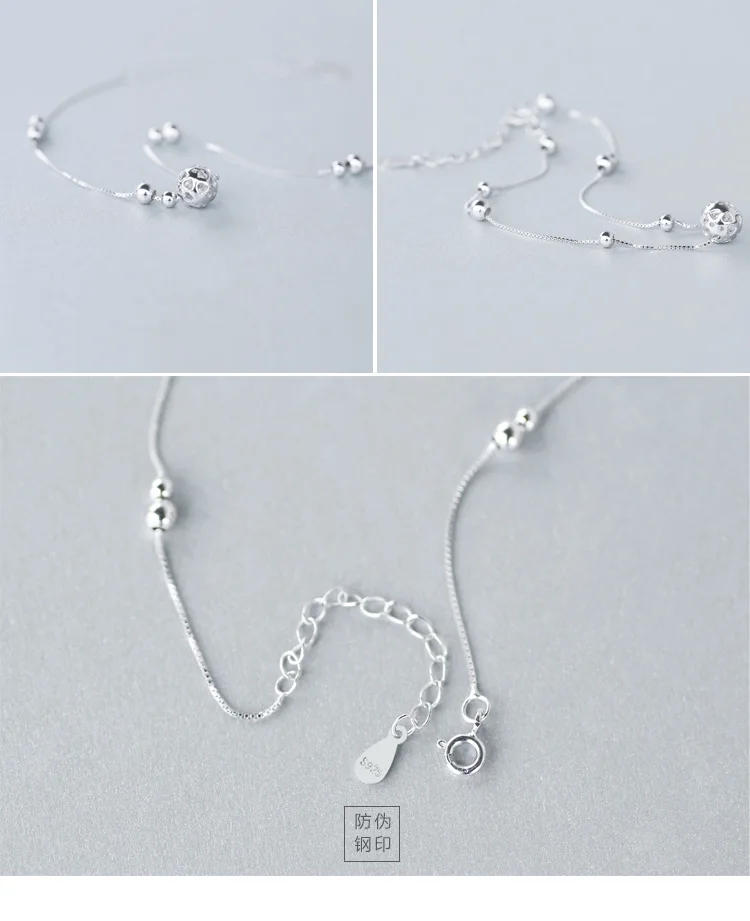 8817666786_1732139996