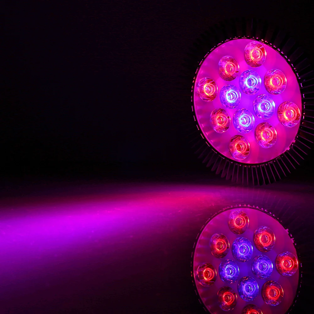 Slide image db34ca8d01a64c158912fccd07305d7f