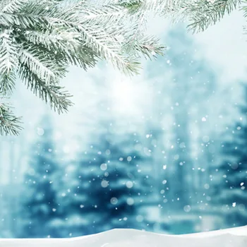 

Green Pine Branch with Snow Light Blue Halo Photography Backdrops Winter Children Photo Background for Studio 150cm*200cm