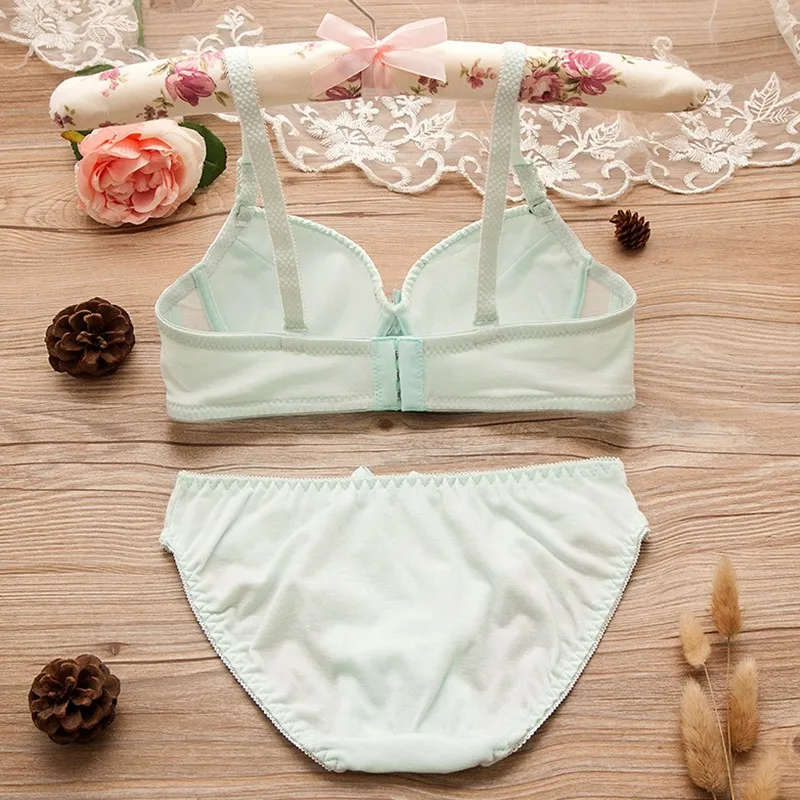 Deruilady Elegant Girl Bra Set Cute Underwire Embroidery Bra Panties Set Cotton Lace Underwear Lingerie Sexy Bra Brief Set Women