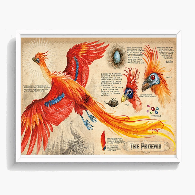 

A History of Magic Harry Potter Wizards Unite Paintings On Canvas Modern Art Decorative Wall Pictures Home Nordic Kids Decor