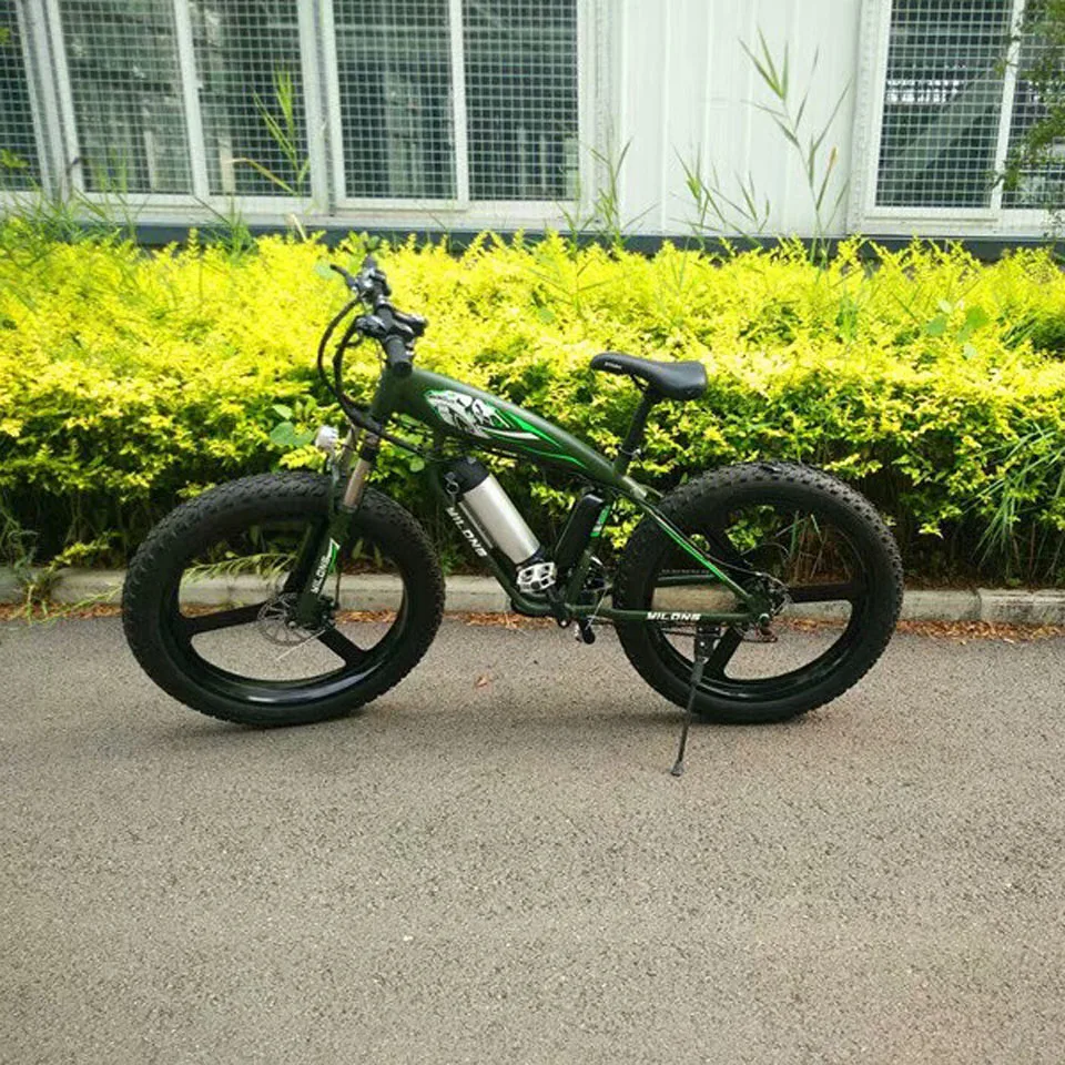 Discount 48V 21 speed 10A/15A/18A  Motor Match Fat Bike electromobile special tire  mountain bike 1